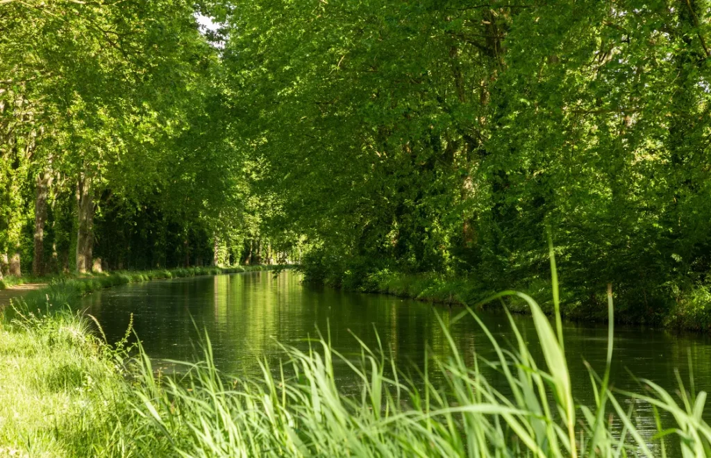 Canal de Garonne dans Canal du Midi